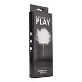bound-to-play-eye-mask-and-feather-tickler-play-kit