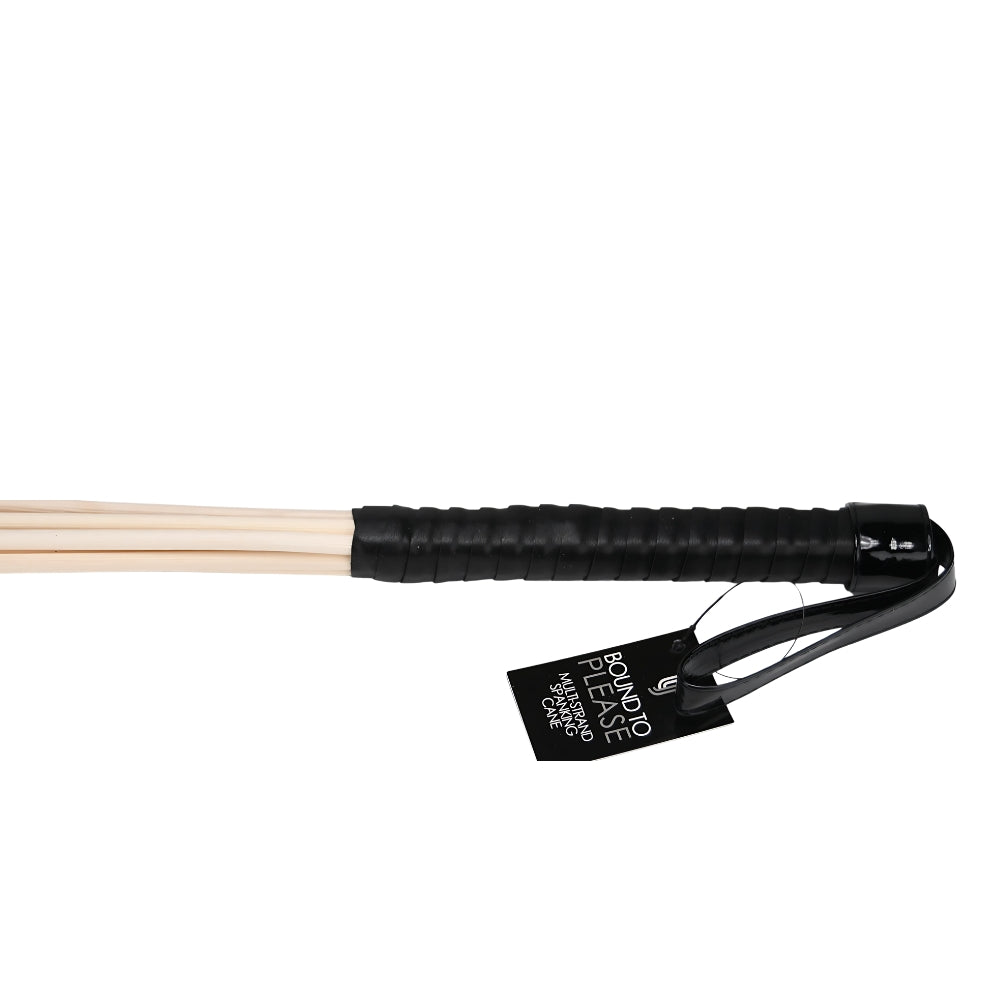 bound-to-please-multi-strand-spanking-cane