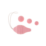 femintimate-pelvix-muscle-trainer
