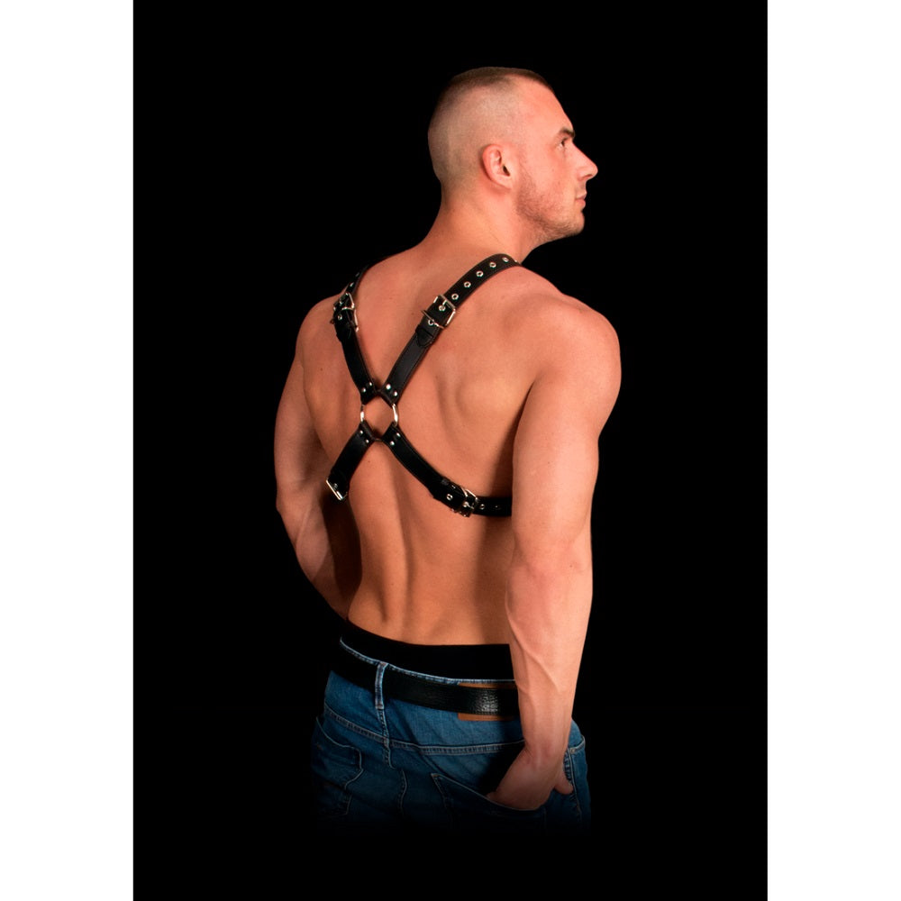 adonis-high-halter-bonded-leather-harness-one-size
