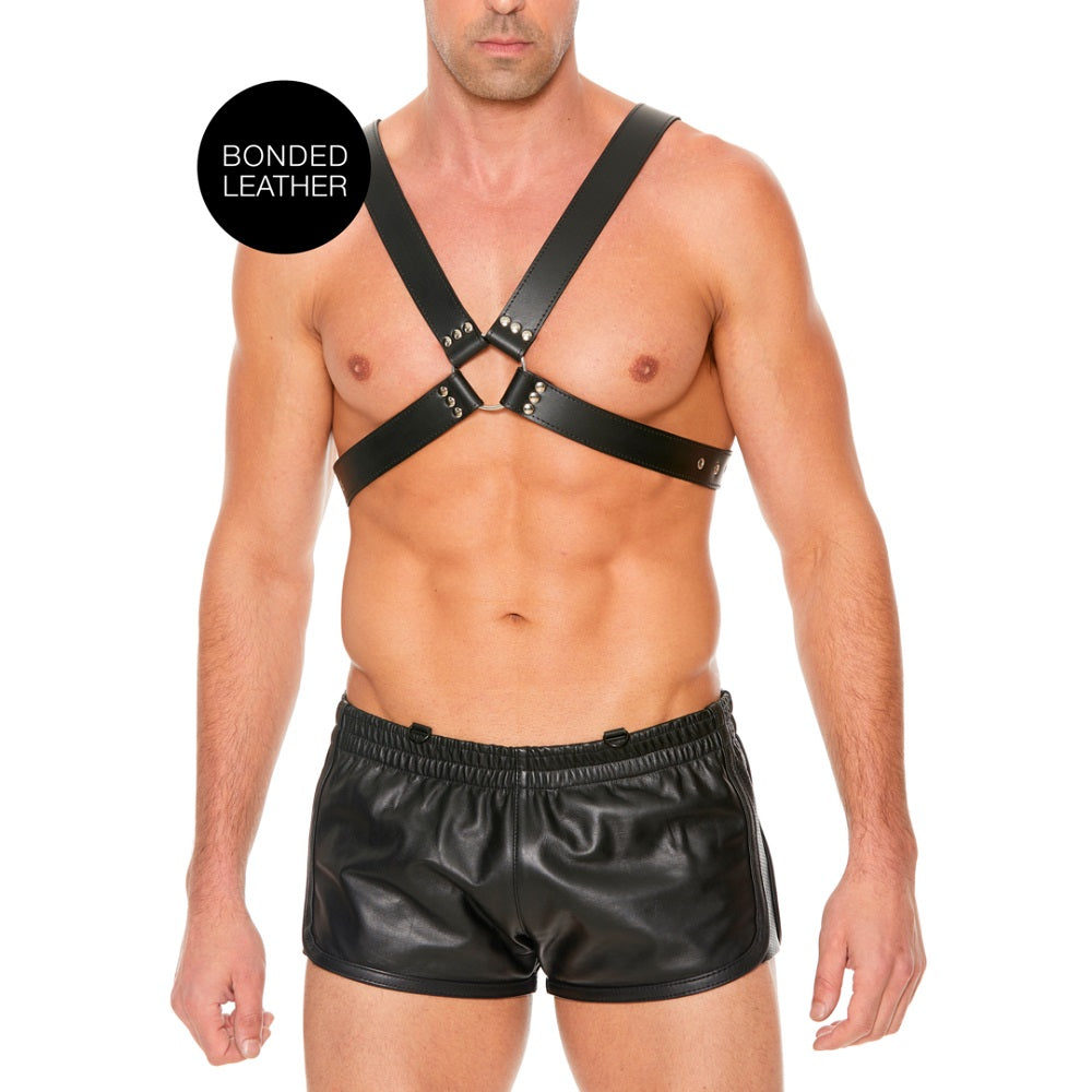 leather-harness-with-large-buckle-one-size