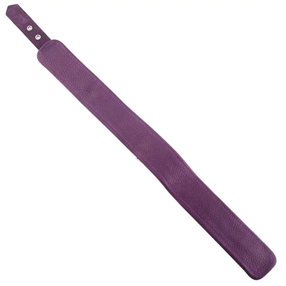 Rouge purple leather adjustable collar with o-ring and buckles - peaches and screams