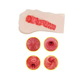 Tamashii student masturbator compact textured stroker - peaches and screams