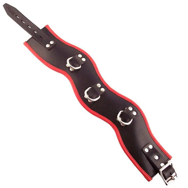 Black And Red Padded Posture Adjustable Collar With D-ring - Peaches and Screams