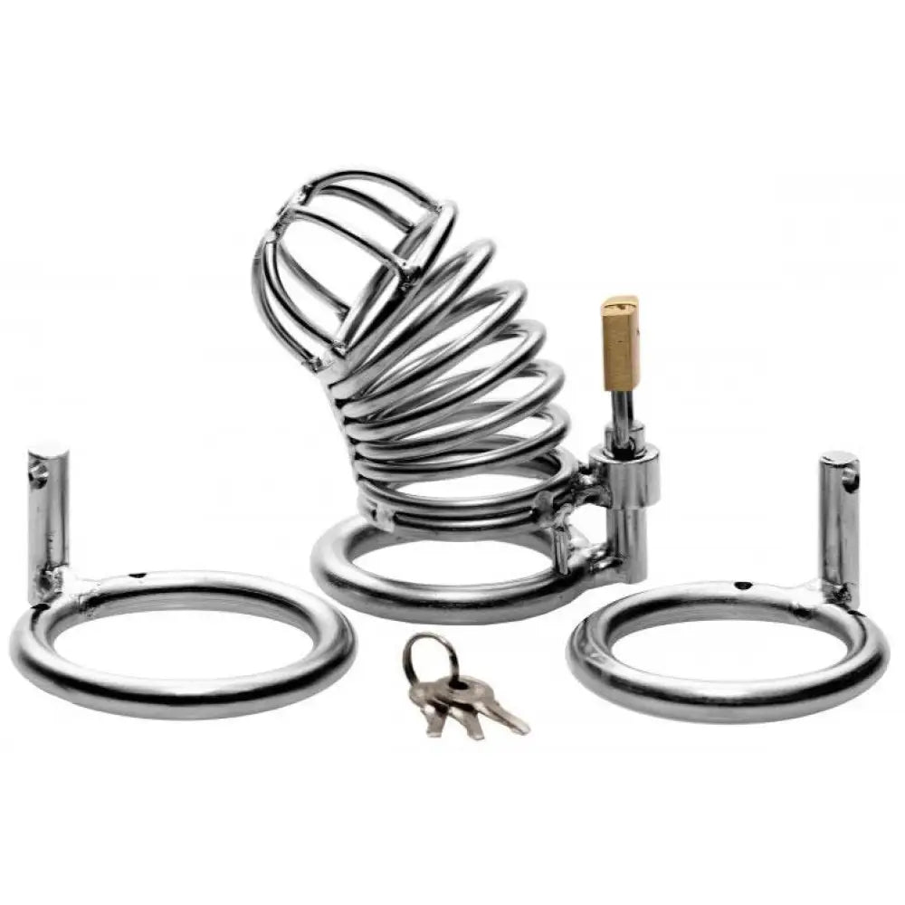 Master series bastille penile stainless steel cage - peaches and screams