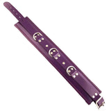 Rouge garments adjustable purple padded collar with d ring - peaches and screams