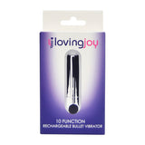 loving-joy-10-function-rechargeable-bullet-vibrator-silver