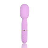 nauti-petites-10-speed-wand-vibrator
