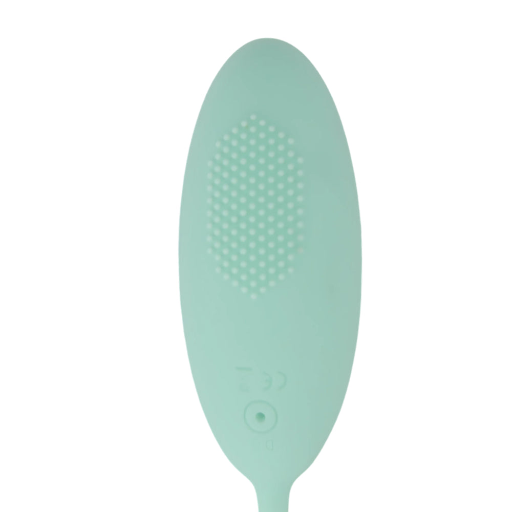 tabooboo-take-me-back-to-bed-remote-love-egg