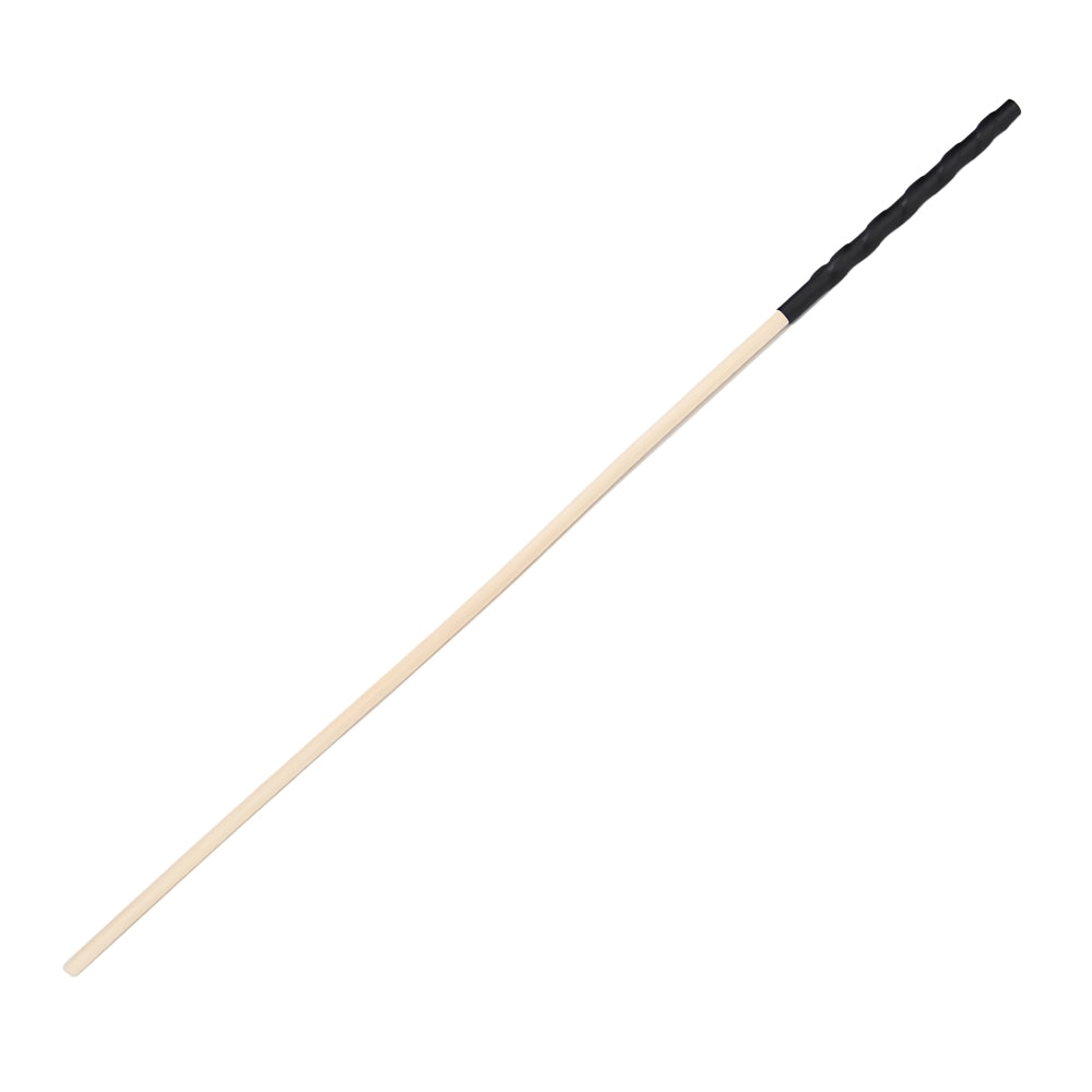 bound-to-please-spanking-cane