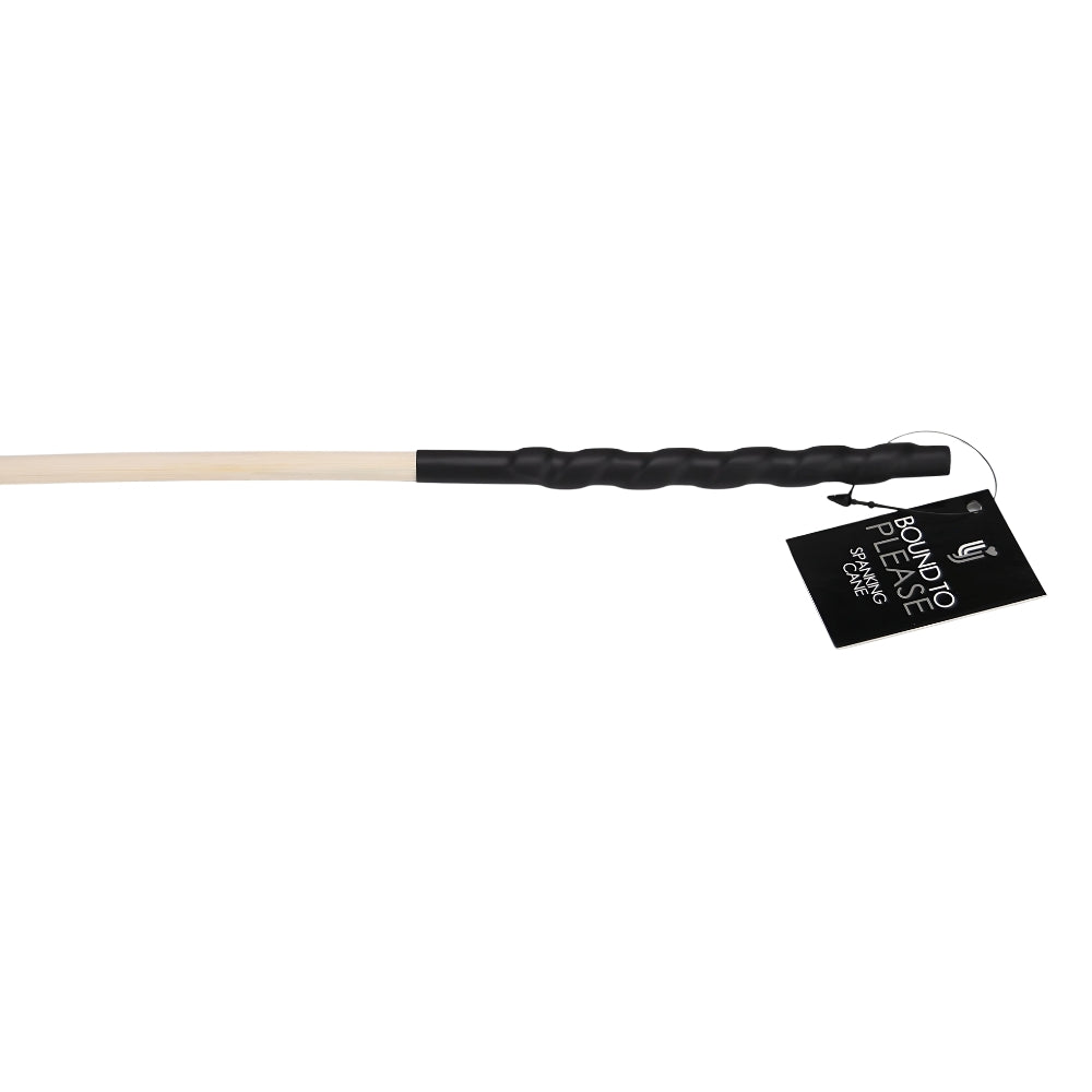 bound-to-please-spanking-cane