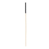 bound-to-please-spanking-cane