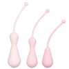 Colt 3 piece inspire weighted silicone kegel kit - peaches and screams
