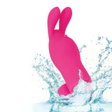 Colt 4 inch pink silicone rechargeable bunny finger vibrator - peaches and screams