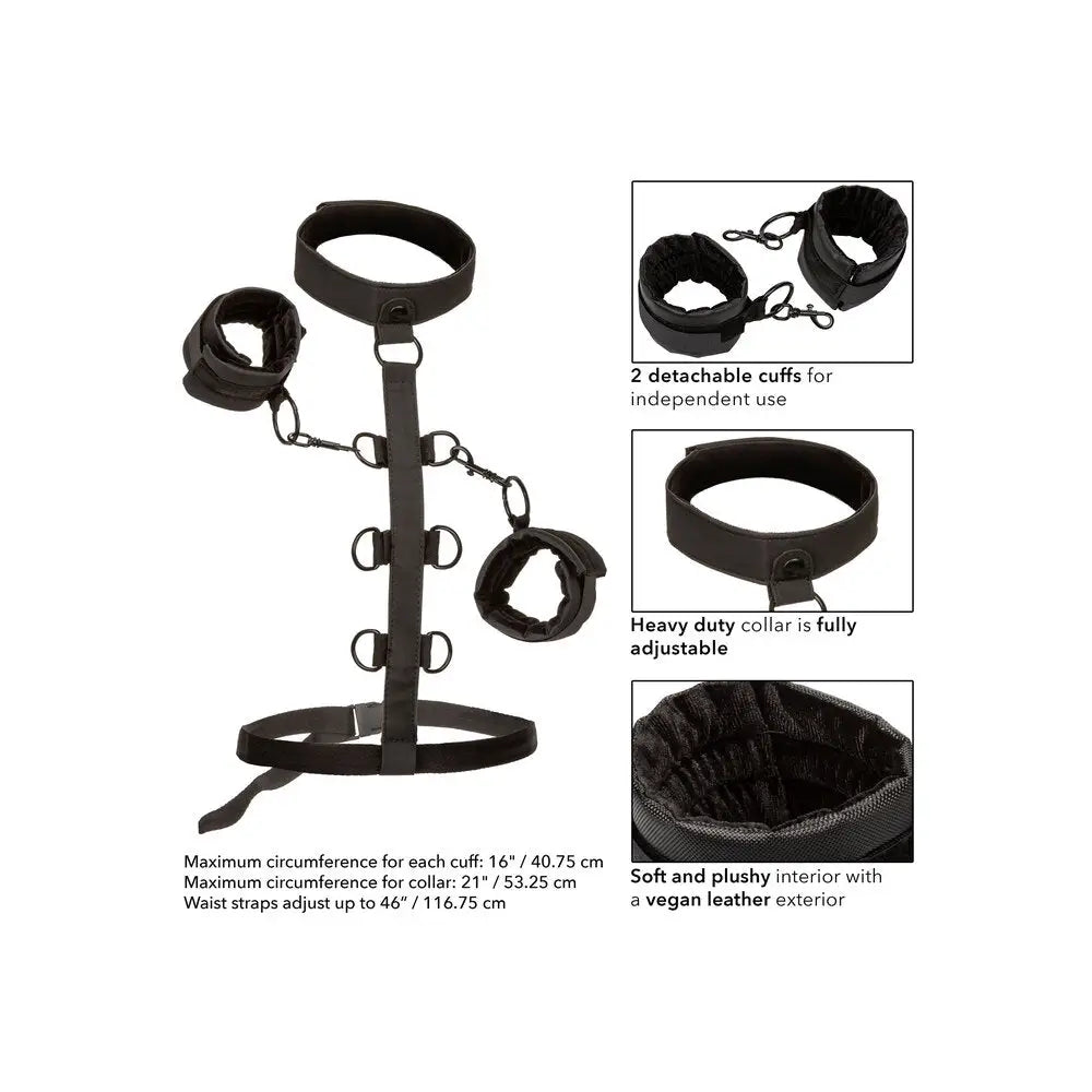 Colt nylon black boundless collar body restraint gear - peaches and screams
