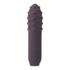 Je joue silicone multi surfaced bullet vibrator purple - peaches and screams