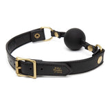 fifty-shades-of-grey-bound-to-you-ball-gag-2