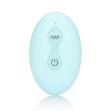 remote-control-panty-vibrator