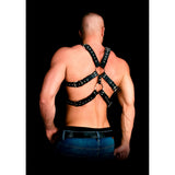 andres-masterpiece-bonded-leather-harness-one-size