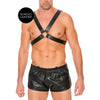 leather-harness-with-large-buckle-one-size