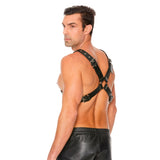 leather-harness-with-large-buckle-one-size