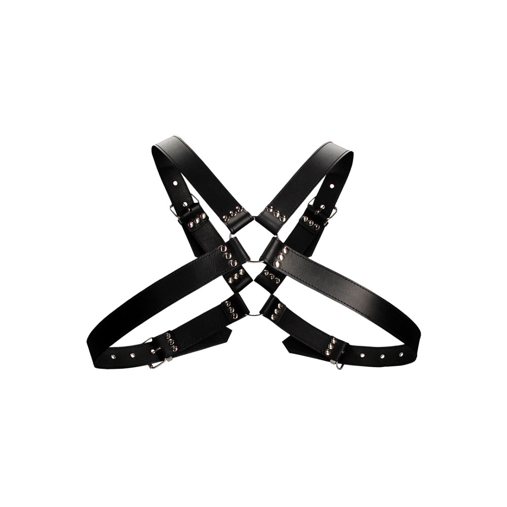 leather-harness-with-large-buckle-one-size