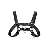 bulldog-leather-chest-harness-s-m