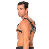 bulldog-leather-chest-harness-s-m