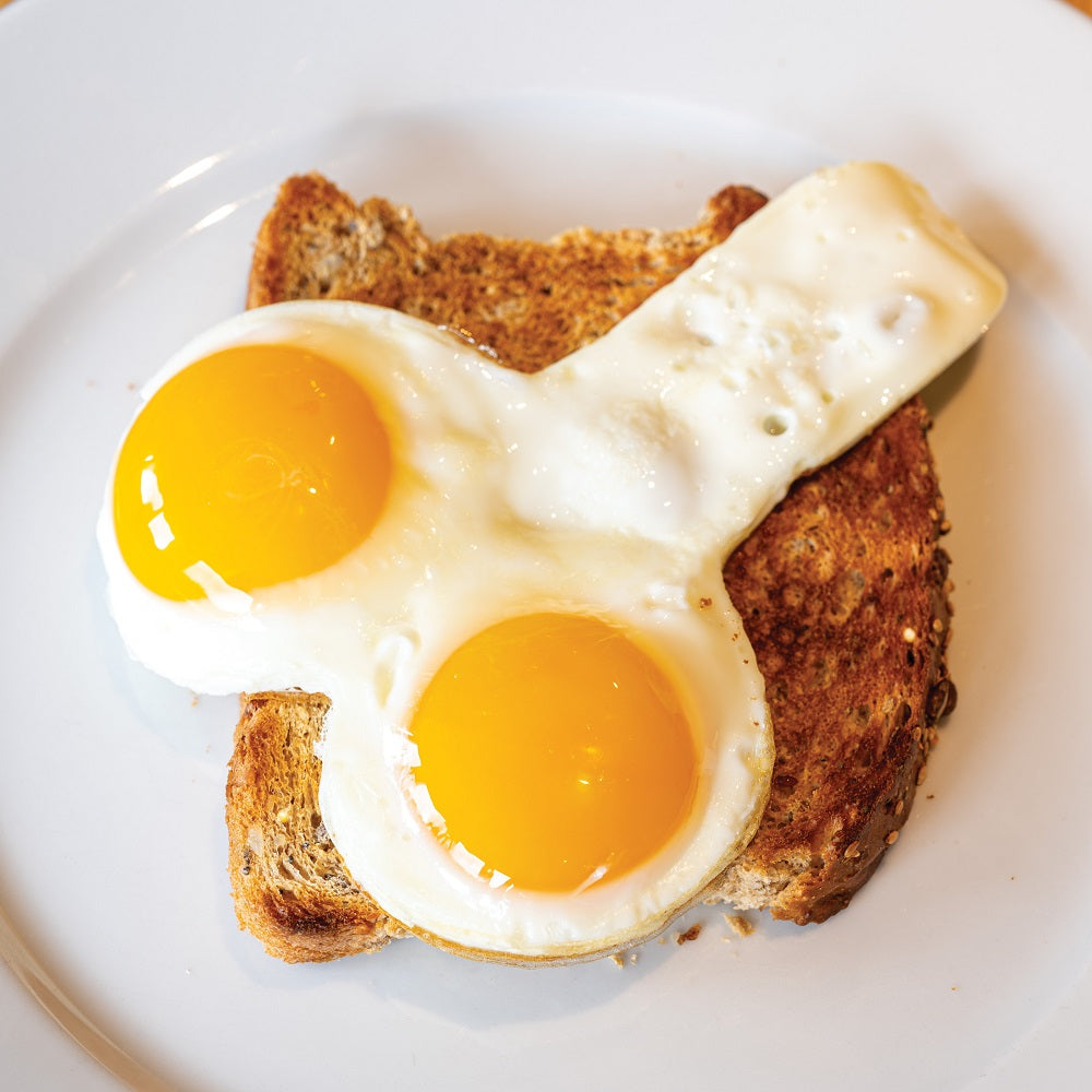 willie-egg-fryer