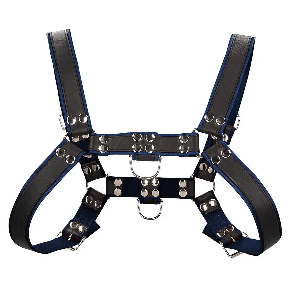 Ouch Blue Leather Chest Bulldog Small To Medium Harness - Peaches and Screams