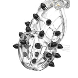 Rimba pcage pc09 medium transparent chastity cage set - peaches and screams
