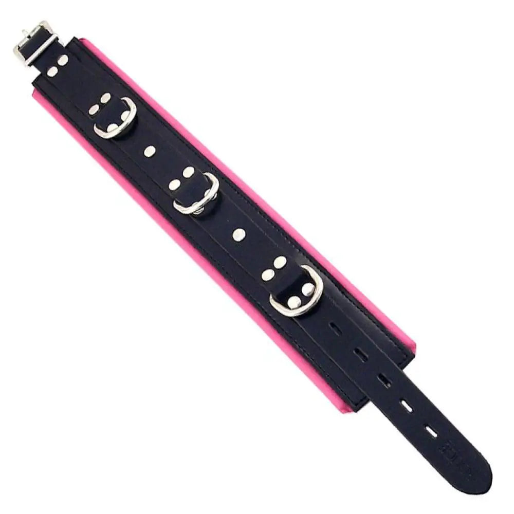 Rouge garments adjustable black and pink padded collar - peaches and screams