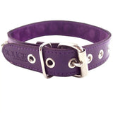 Rouge garments adjustable purple nut studded leather collar - peaches and screams