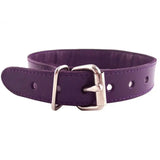 Rouge garments purple leather o ring studded bdsm collar - peaches and screams