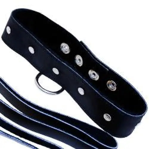 Sportsheets Black Leather Leash And Collar - Peaches and Screams