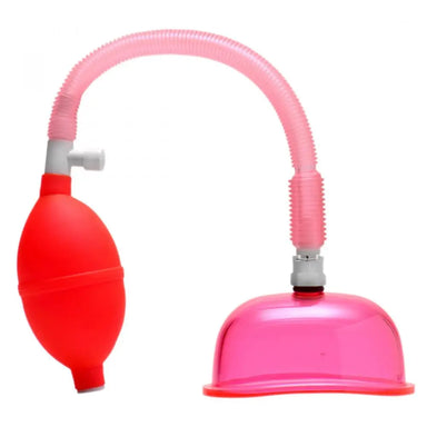 4.25-inch Size Matters Pink Vaginal Pump For Her - Peaches and Screams