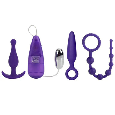 California Erotic Slicone Purple Female Anal Kit - Peaches and Screams