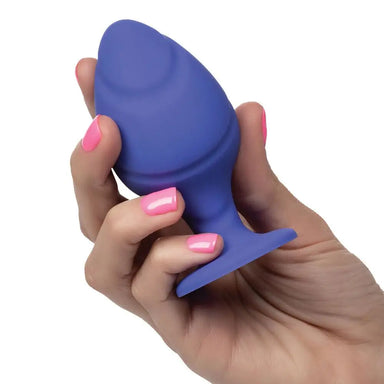 California Exotic Silicone Purple Butt Plug Set With Suction Cup - Peaches and Screams