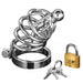 Master Series Stainless Steel 4 Ring Locking Chastity Cage - Peaches and Screams