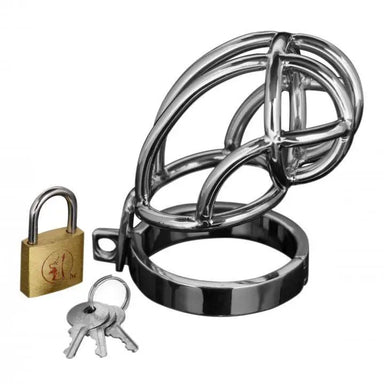 Master Series Stainless Steel Locking Chastity Cage With Padlock - Peaches and Screams