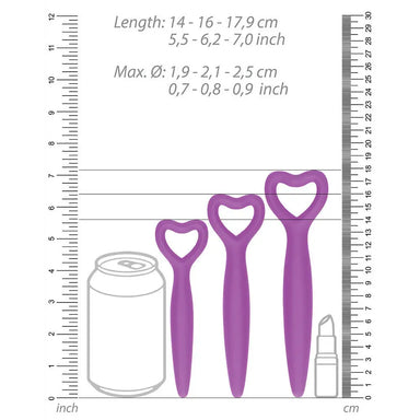 Ouch Silicone Purple Vaginal Dilator Set With Bullet Vibrator - Peaches and Screams