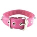 Pink Leather Studded Collar With Adjustable Buckles - Peaches and Screams