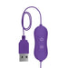 Pipedream Silicone Purple Multi - speed Mini Bullet Vibrator With Remote - Peaches and Screams
