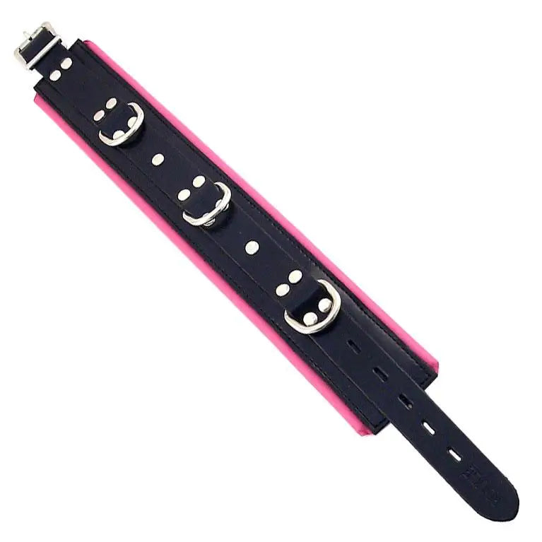 Rouge Garments Adjustable Black And Pink Padded Collar With D - rings - Peaches and Screams