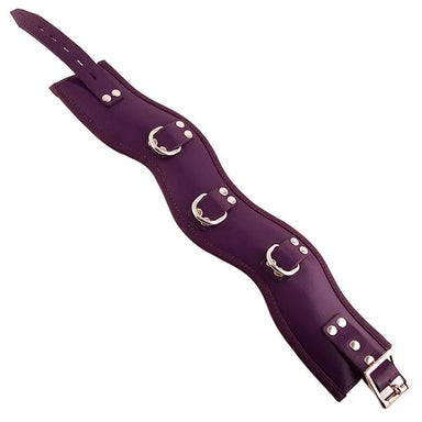 Rouge Garments Purple Padded Posture Collar With D - rings - Peaches and Screams