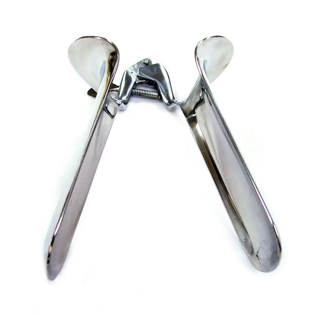 Rouge Garments Stainless Steel Silver Large Speculum for Her - Peaches and Screams