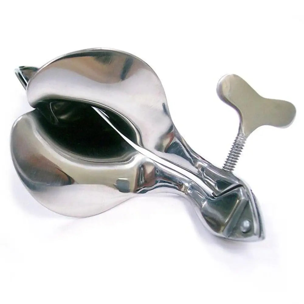 Rouge Garments Stainless Steel Silver Large Speculum for Her - Peaches and Screams