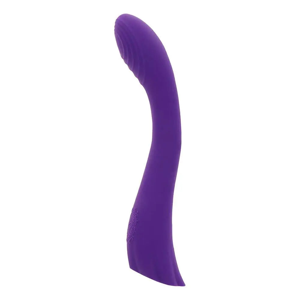 Toyjoy Silicone Purple Waterproof Rechargeable g Spot Vibrator - Peaches and Screams